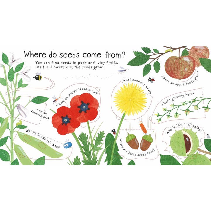 First Questions and Answers: How Do Flowers Grow?