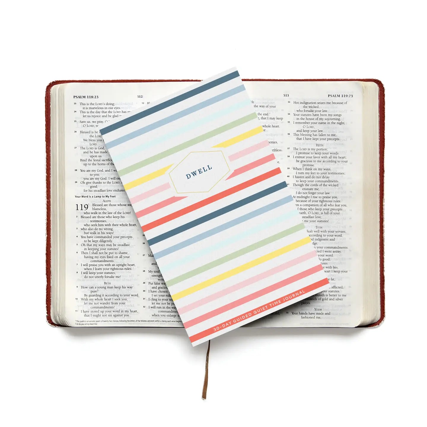 Bible Study Journal Mini | Joyful Stripe