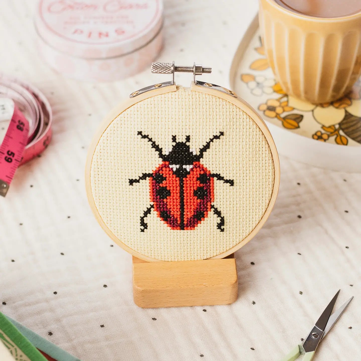 Beginner Ladybug Cross Stitch Kit