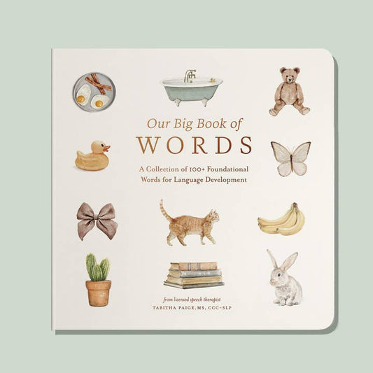 Our Big Book of First Words