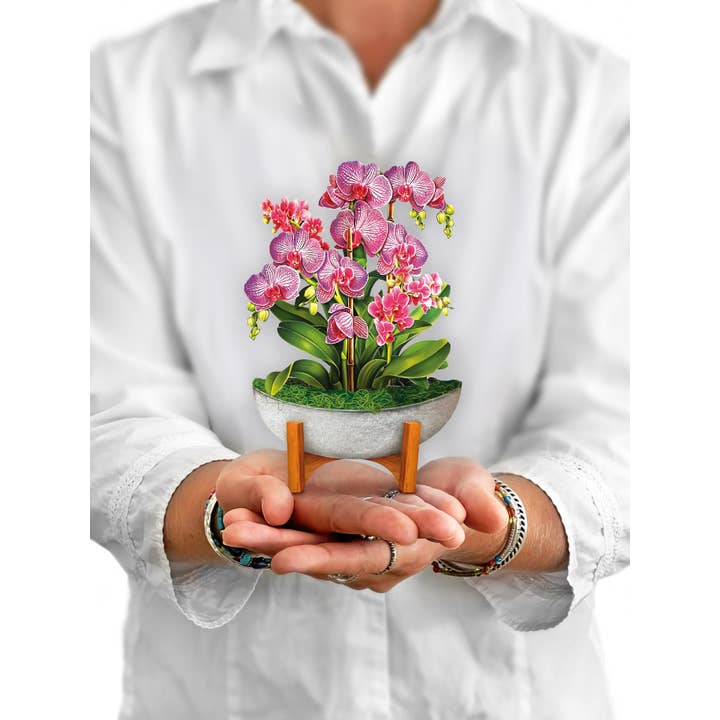 Mini Pop-Up Greeting Cards | Orchid Oasis