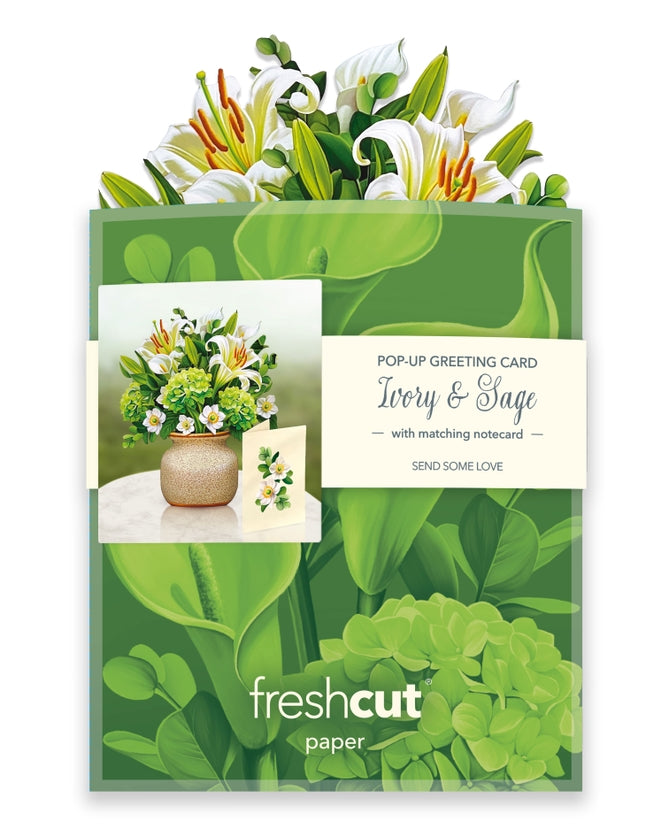 Mini Pop-Up Greeting Cards | Ivory & Sage