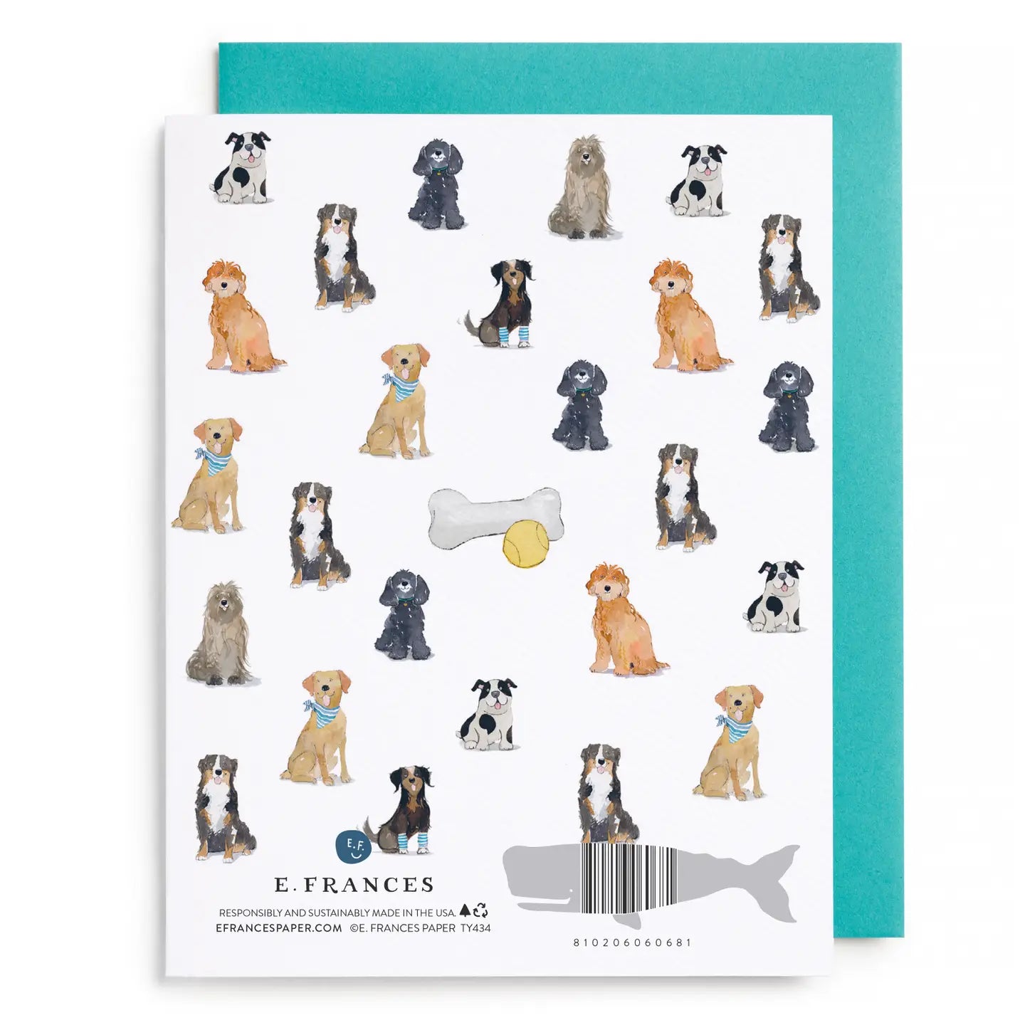 Greeting Card | Doggy Thank You