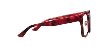 Peepers | Piper | Fire Tortoise