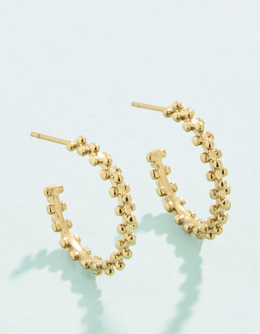 Telfair Hoop Earrings 20mm