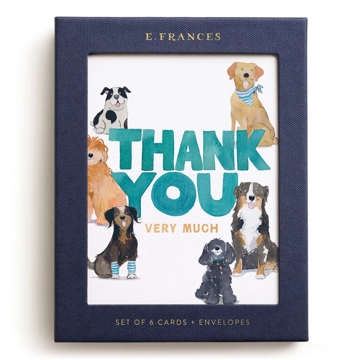Boxed Card Set | Doggy Thank You