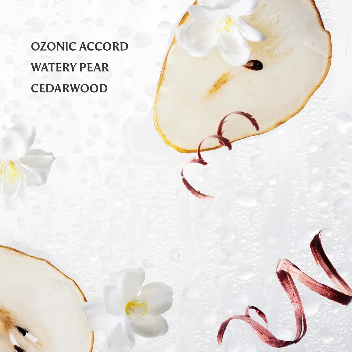 Touchland | Rainwater Power