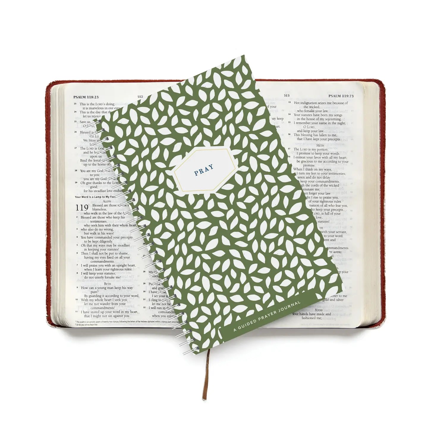 Yearly Prayer Journal | Olive Leaf