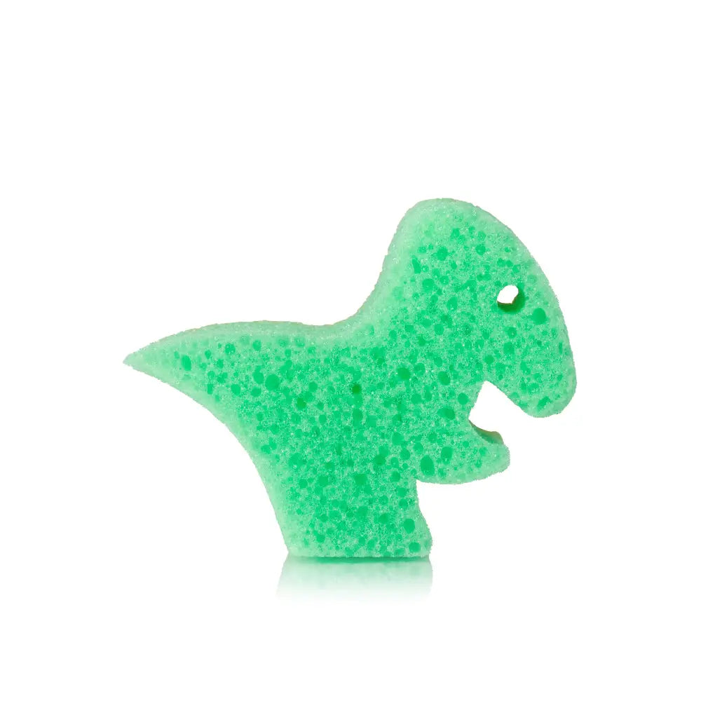 Spongify for Kids | T-Rex