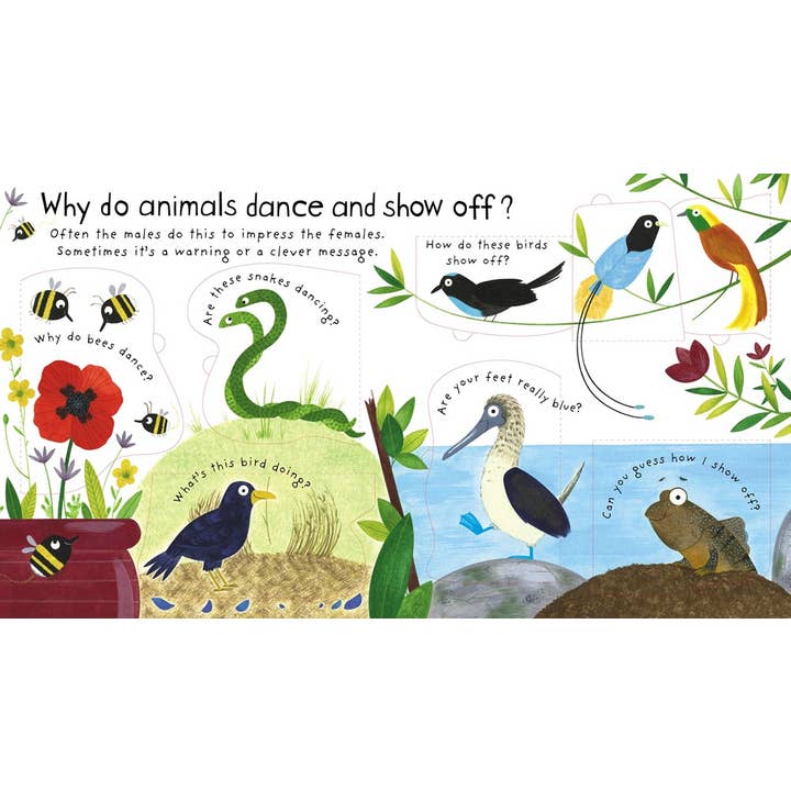 First Questions and Answers: How Do Animals Talk?