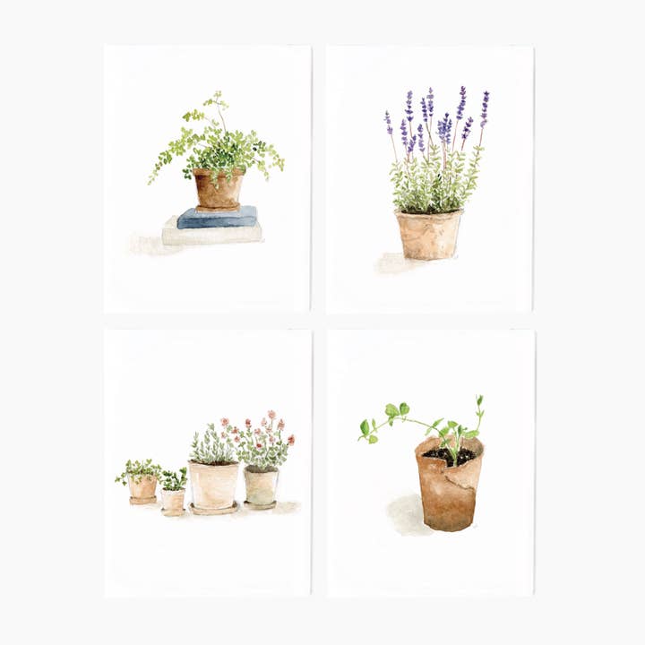 Notecards | Potted Plants