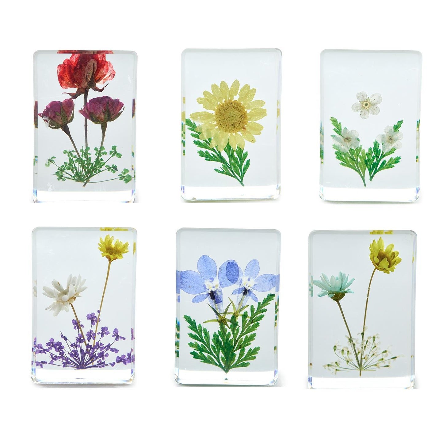 Wildflower Pressed Floral Keepsake | Assorted