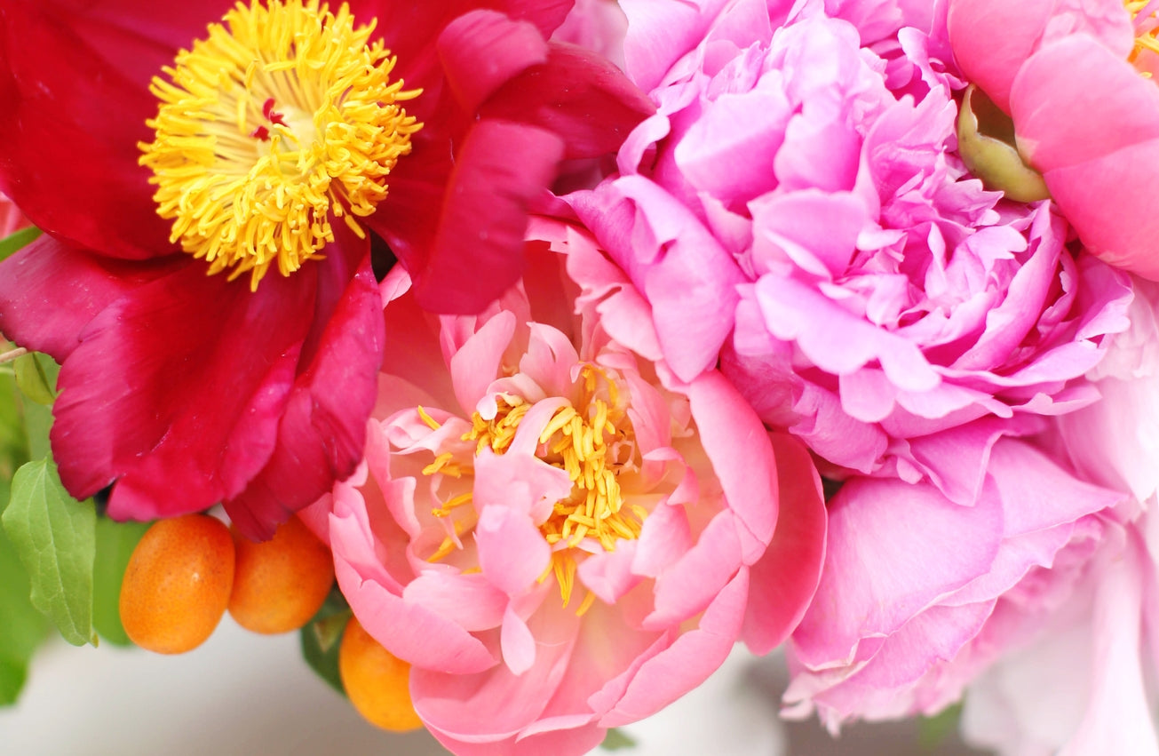 Acrylic Tray Inserts | All Year Long Vol 2