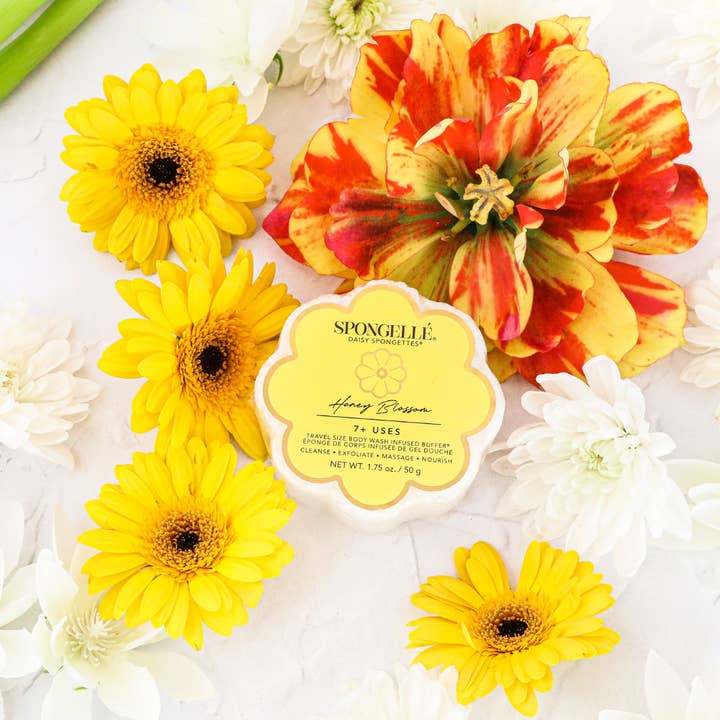 Daisy Spongette | Honey Blossom