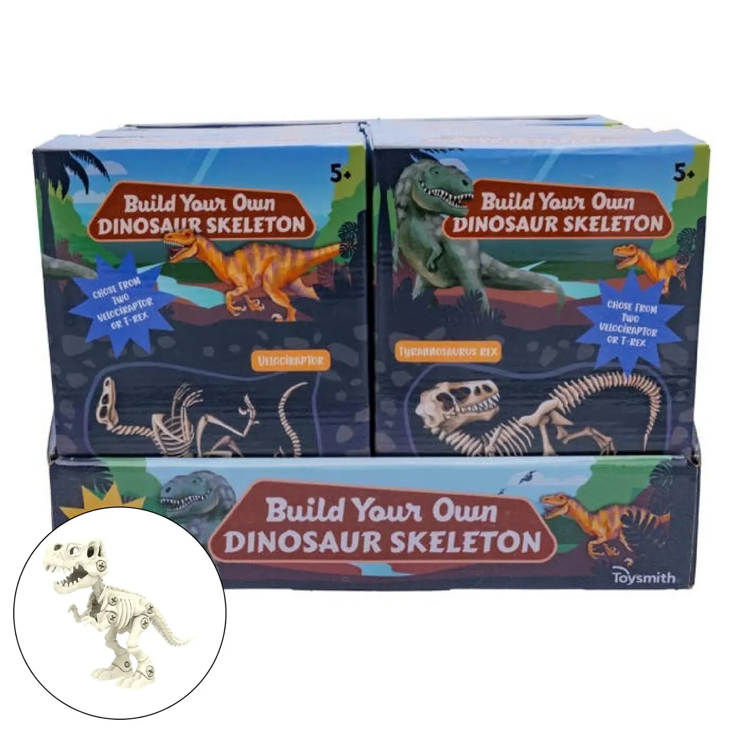 BYO Dinosaur Skeleton | Assorted Styles