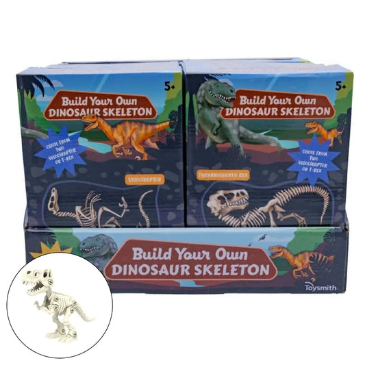 BYO Dinosaur Skeleton | Assorted Styles
