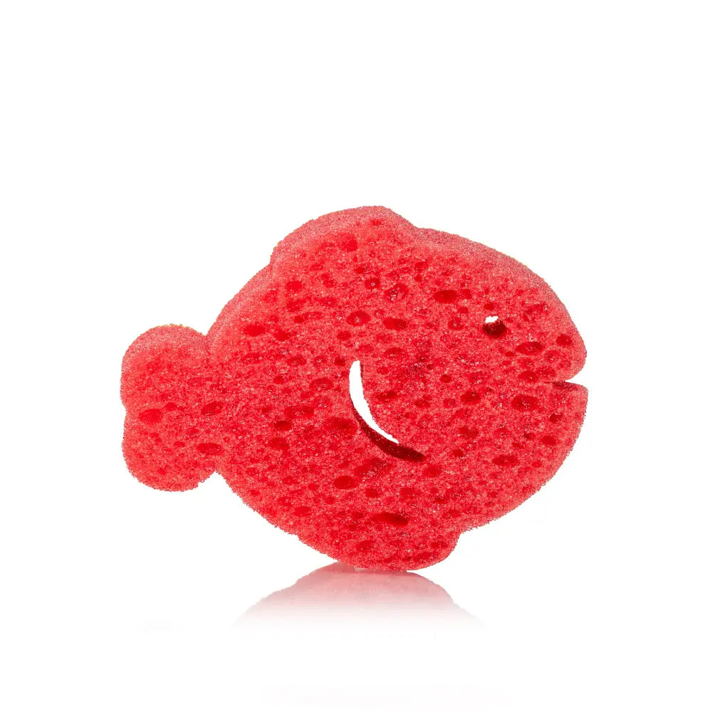 Spongify for Kids | Fish