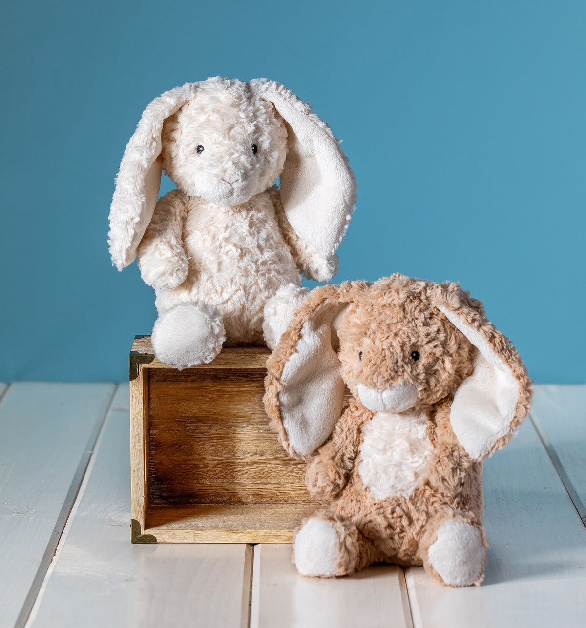 Again Friends | Hugo Bunny