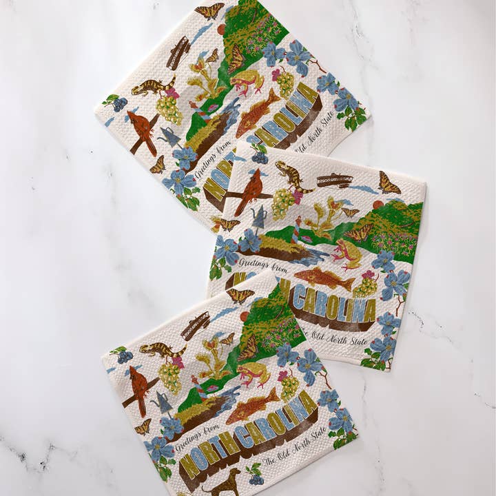 Dishcloth Set | Greetings from North Carolina