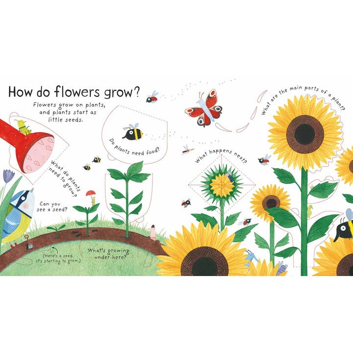 First Questions and Answers: How Do Flowers Grow?