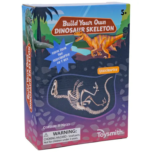 BYO Dinosaur Skeleton | Assorted Styles