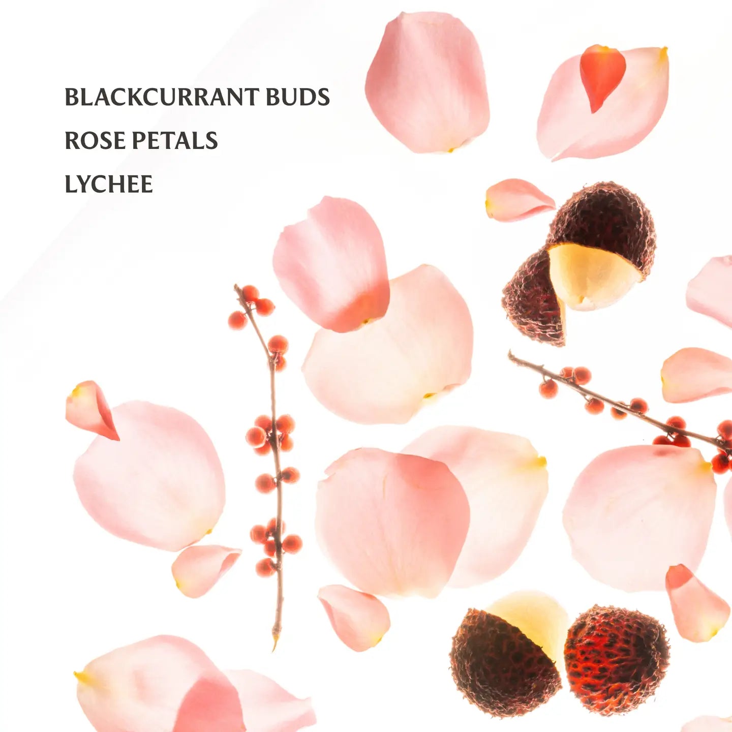 Touchland | Rosewater Glow