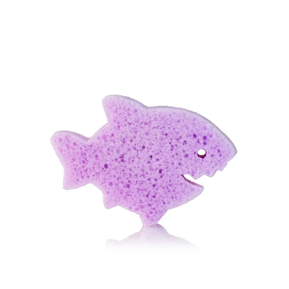 Spongify for Kids | Shark