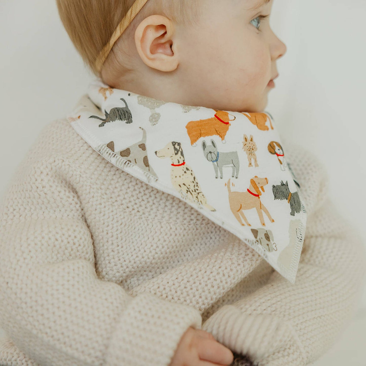 Baby Bandana Bib Set | Rufus