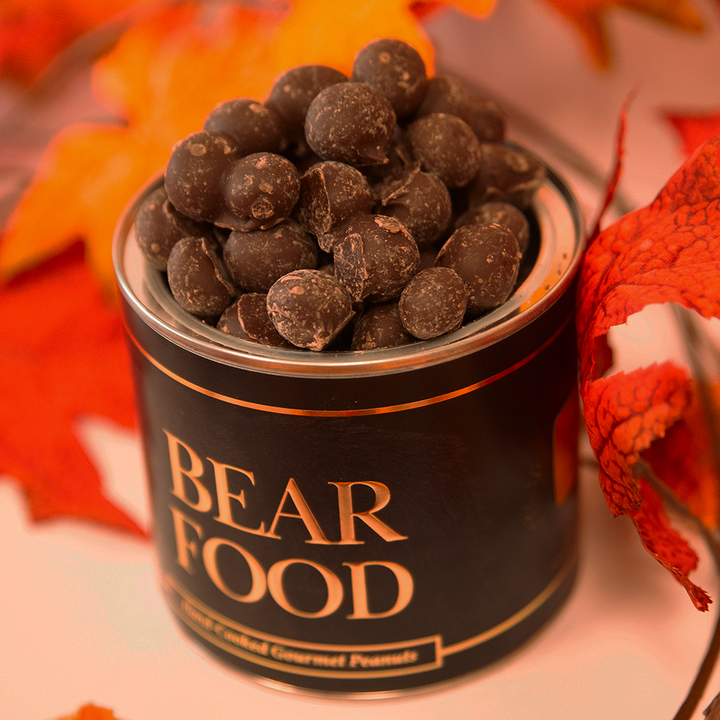 6.5oz Pouch | Double Dipped Dark Chocolate Peanuts