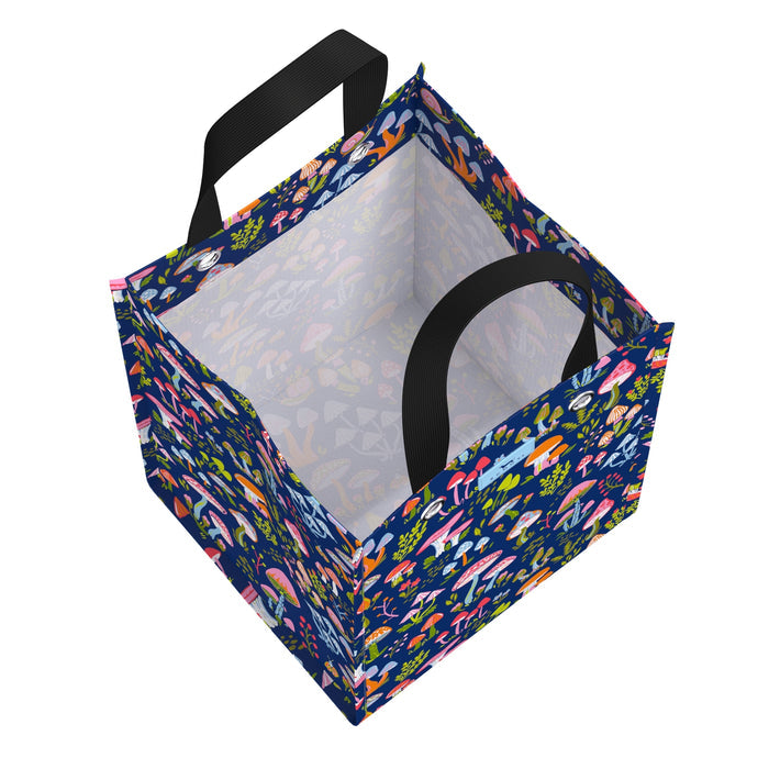 Midi Package | Field Trip
