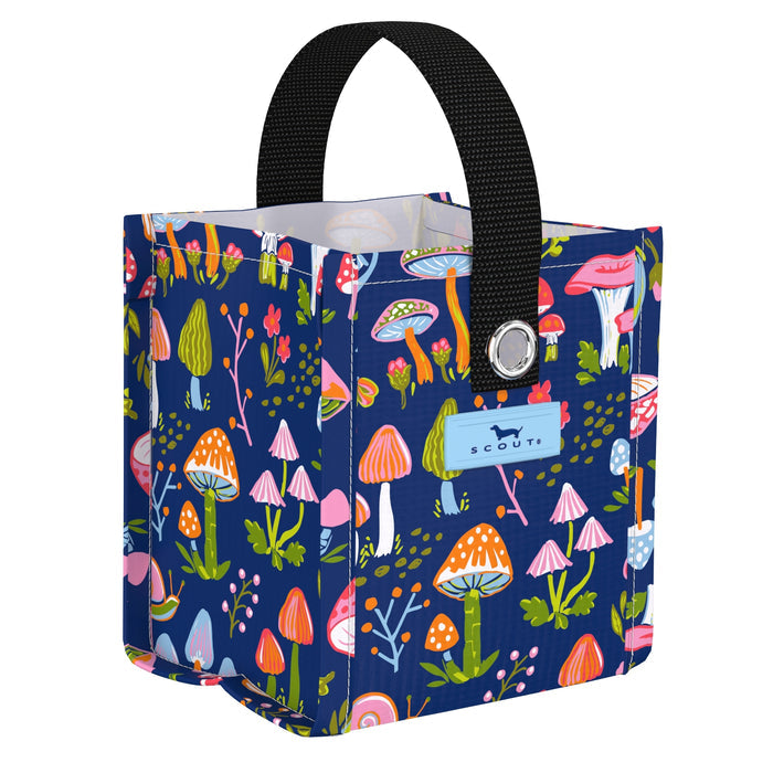 Mini Package | Field Trip