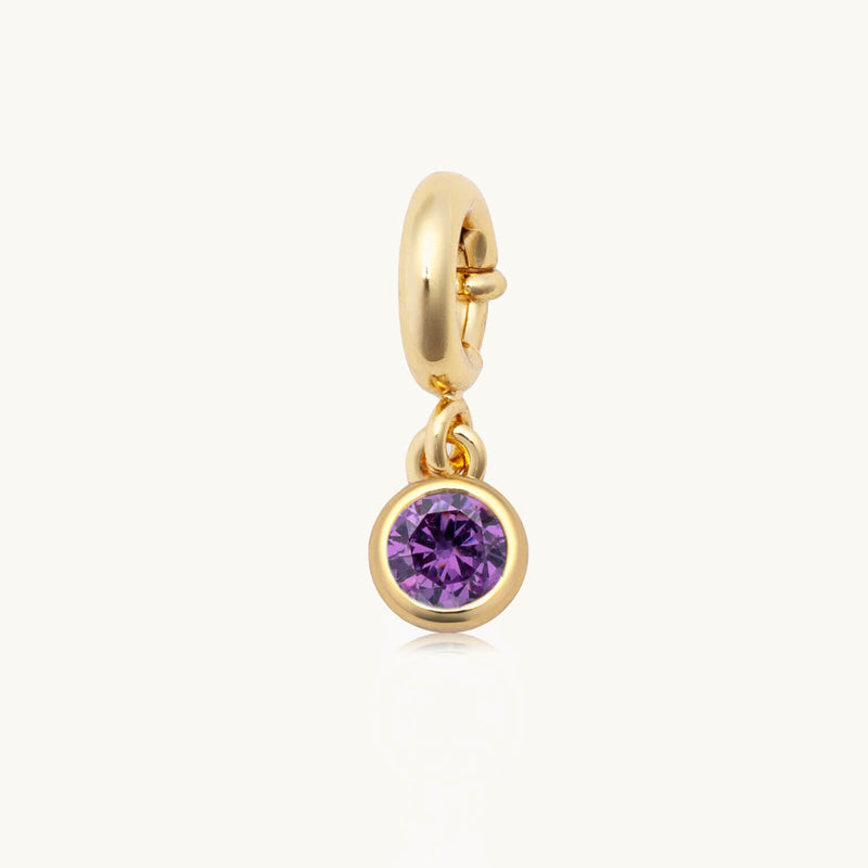 LWP Charm | Birthstone | February