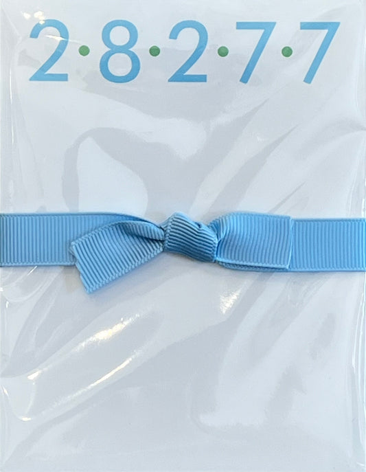 28277 Zip Code Mini Notepad - Blue