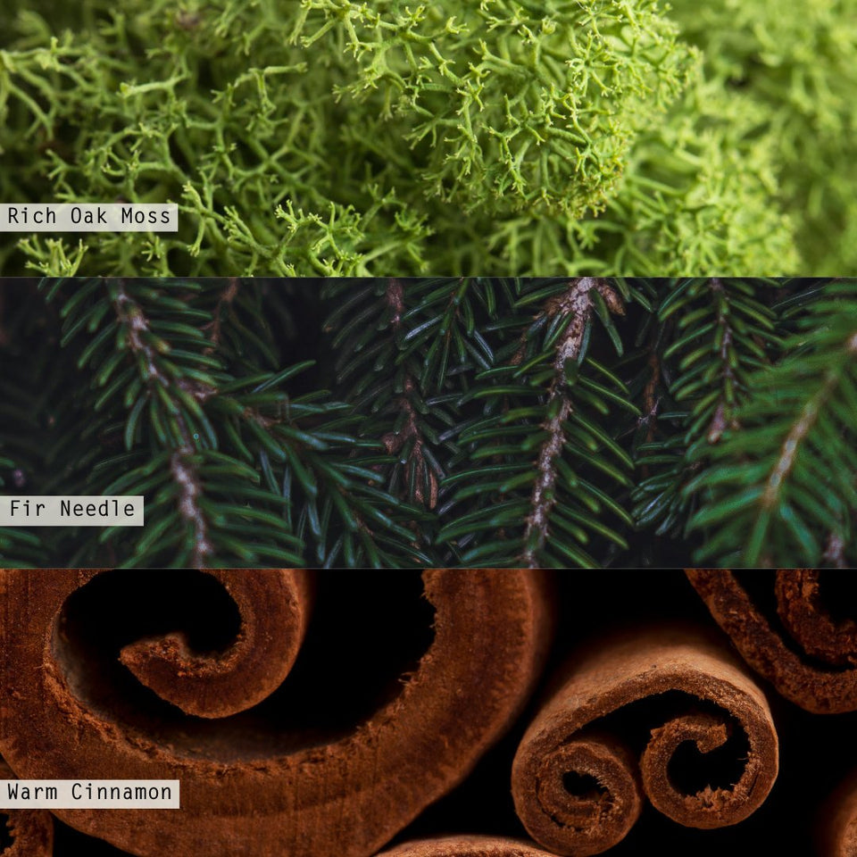 Balsam & Cedar Noble Holiday Tin Trio Gift Set