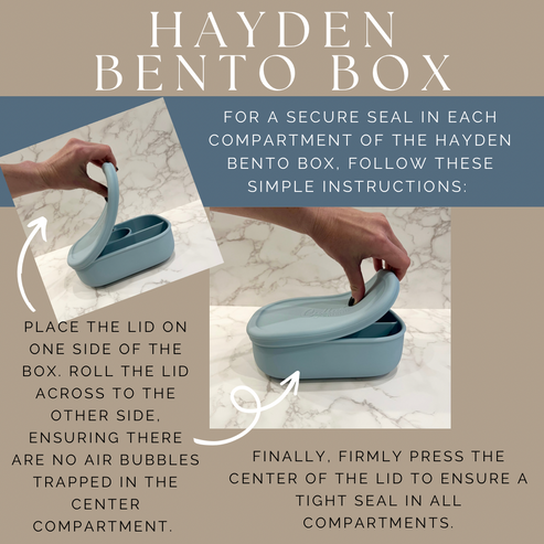 Hayden Bento Box | Powder Blue