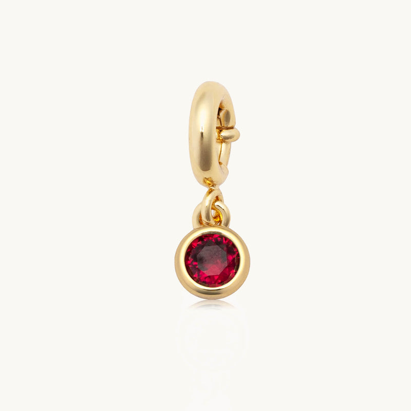 LWP Charm | Birthstone | January