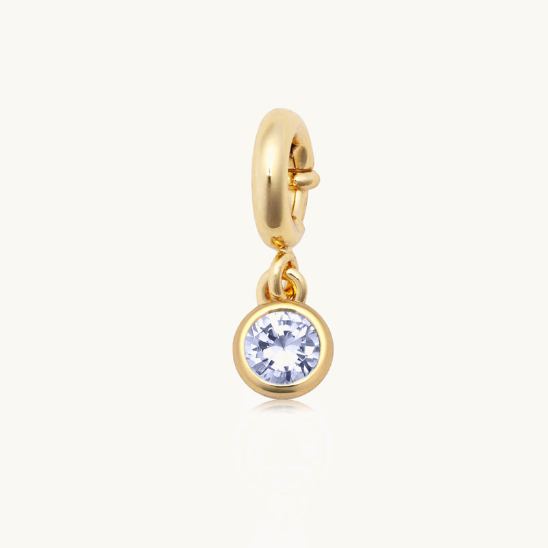 LWP Charm | Birthstone | June