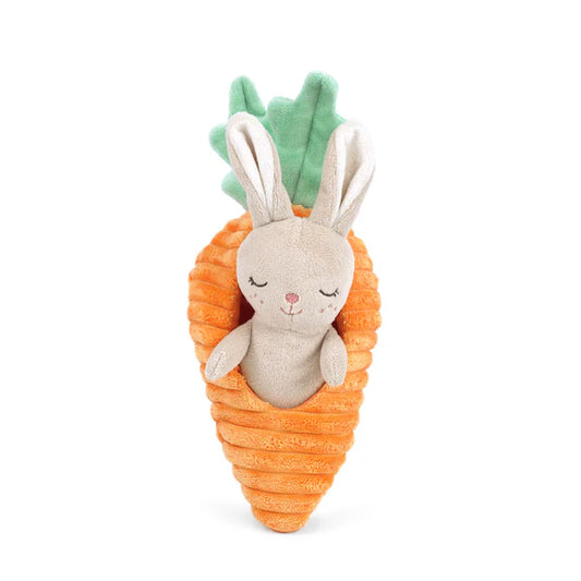 Bunny & Carrot Plush Toy