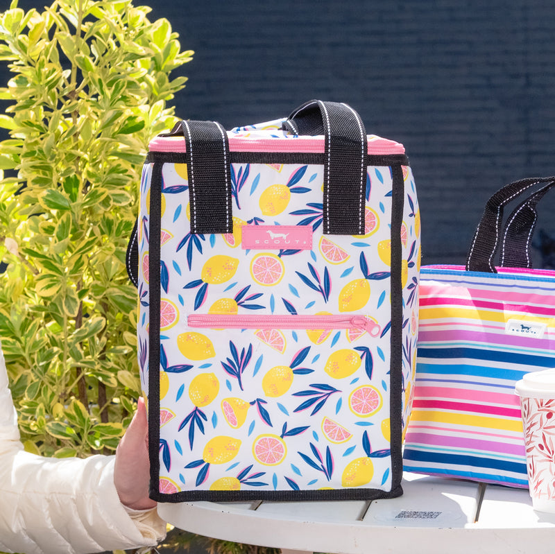 Pleasure Chest Cooler | Medium Cooler | Zest in Show