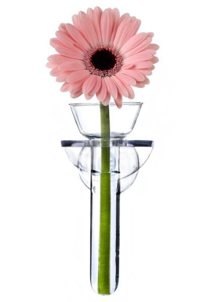 Wall Flower Vase