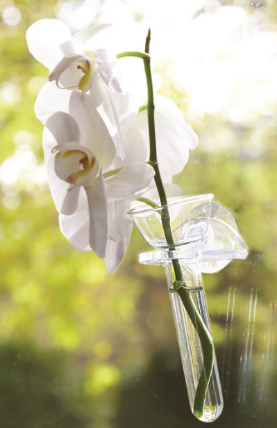 Wall Flower Vase