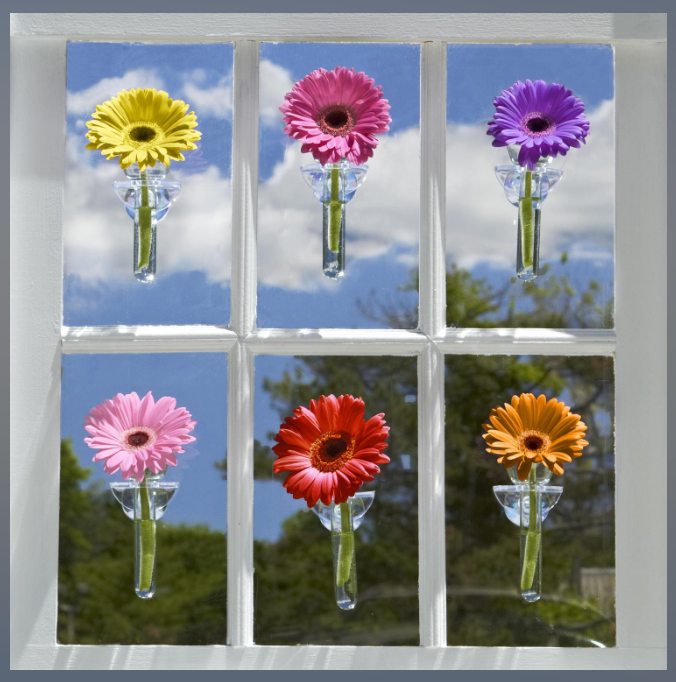 Wall Flower Vase