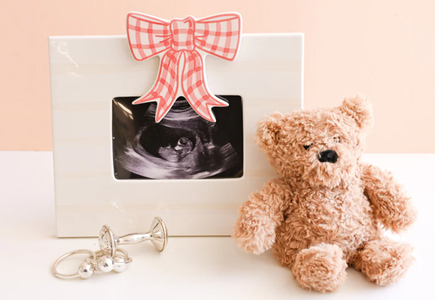 HE Pink Gingham Bow Attachment