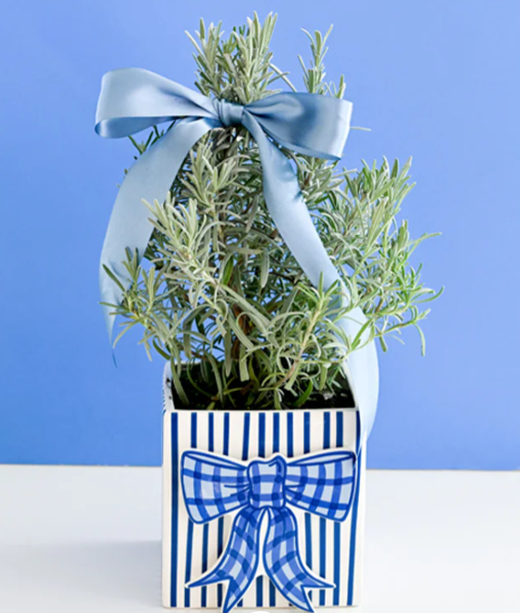 HE Blue Gingham Bow Attachment