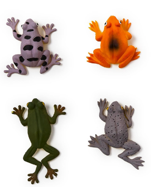 Color Changing Squeeze Frog | Assorted Styles