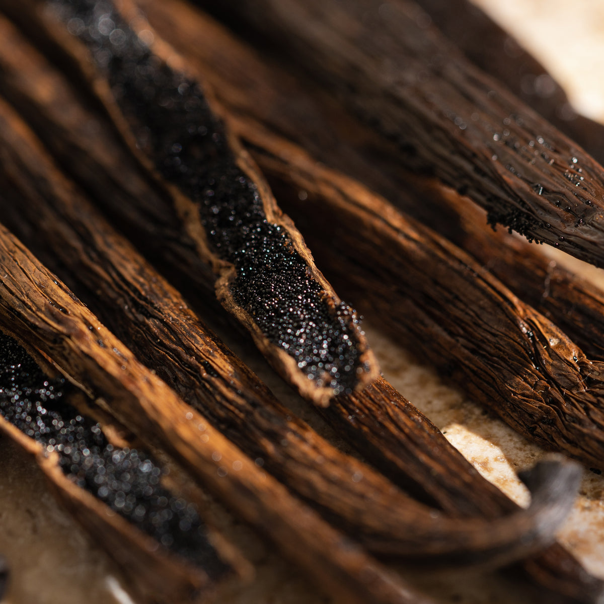 Pura Car Refill | Havana Vanilla