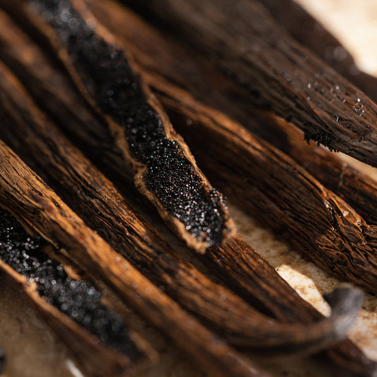 Pura Car Refill | Havana Vanilla