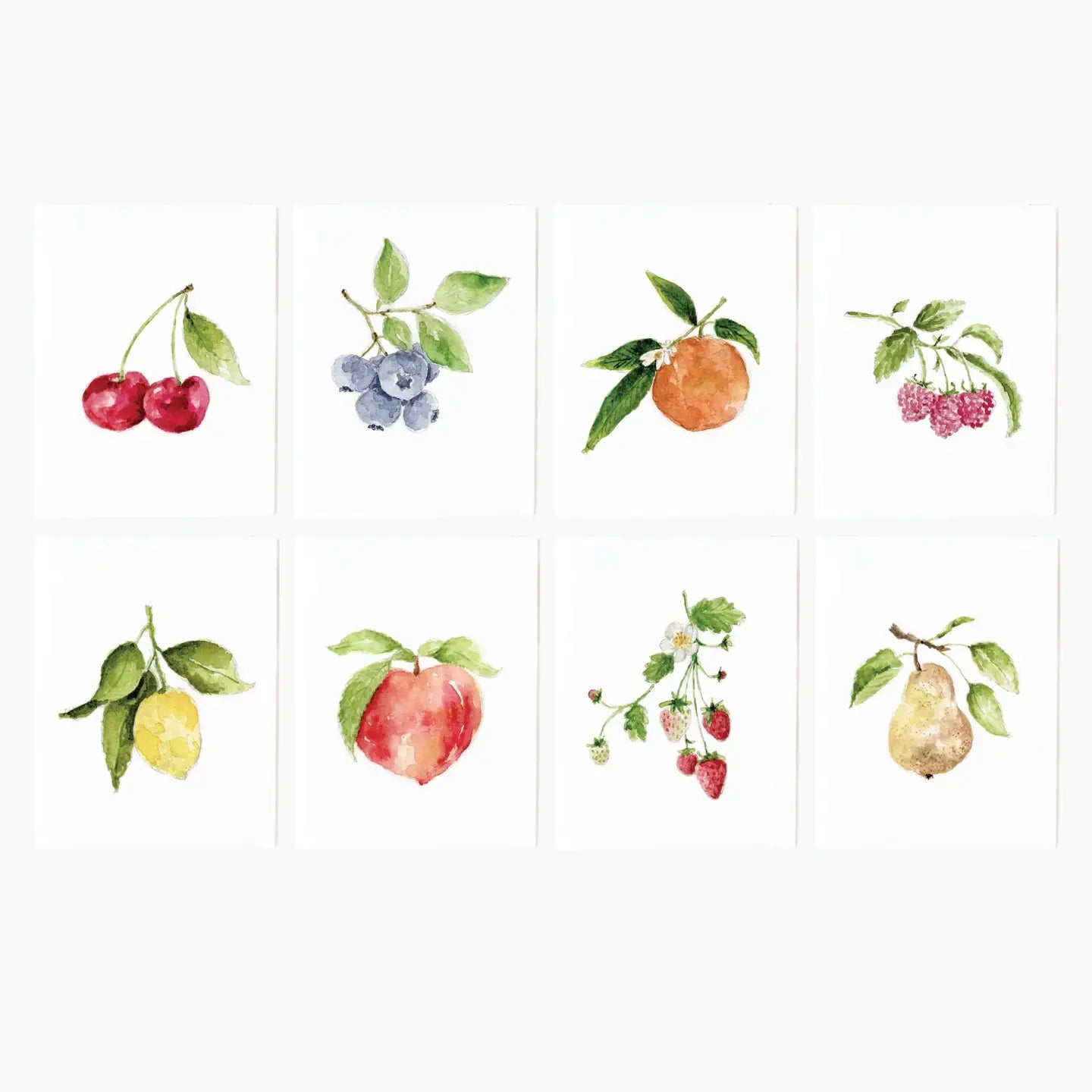 Notecard Set | Assorted Fruit