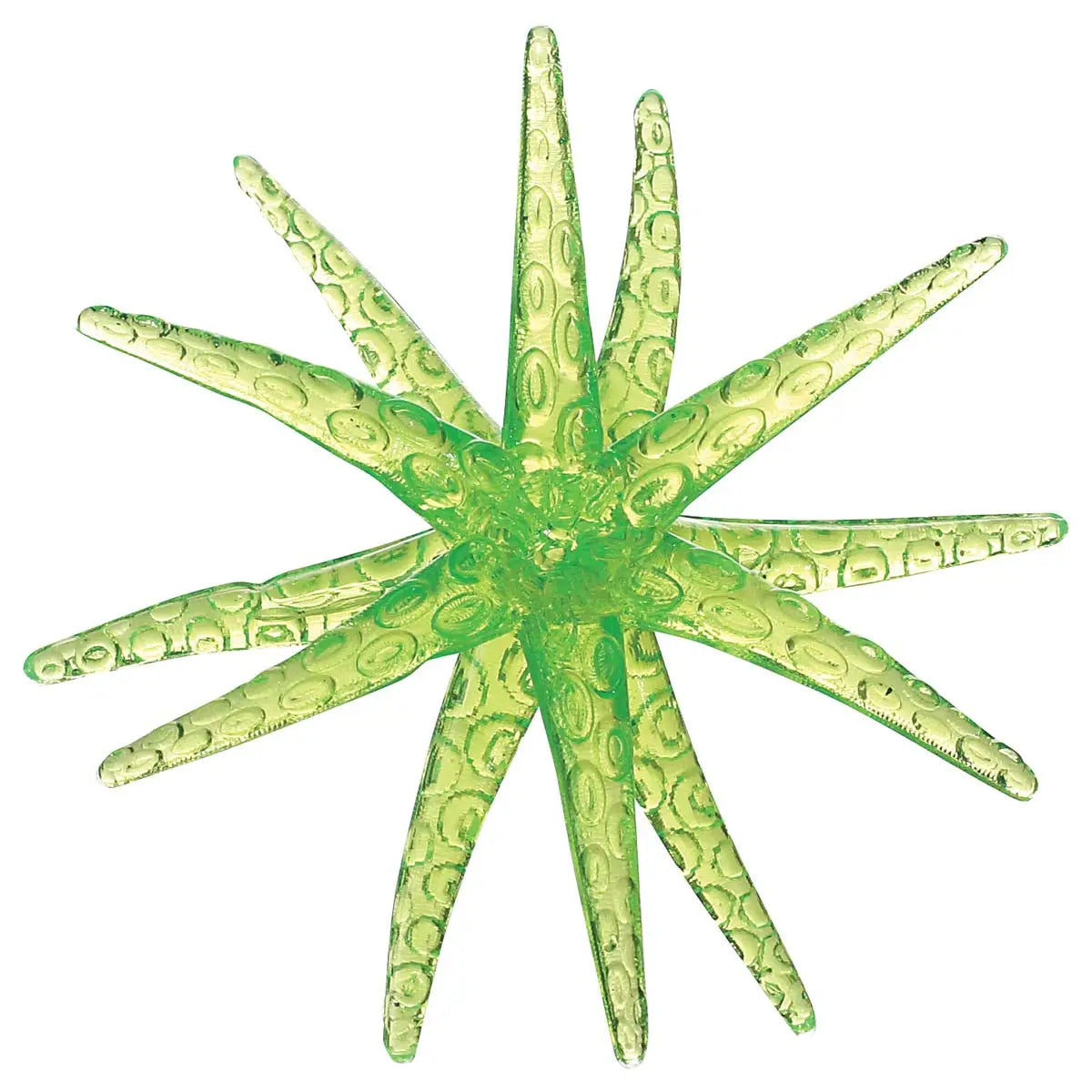 Sticky Starfish