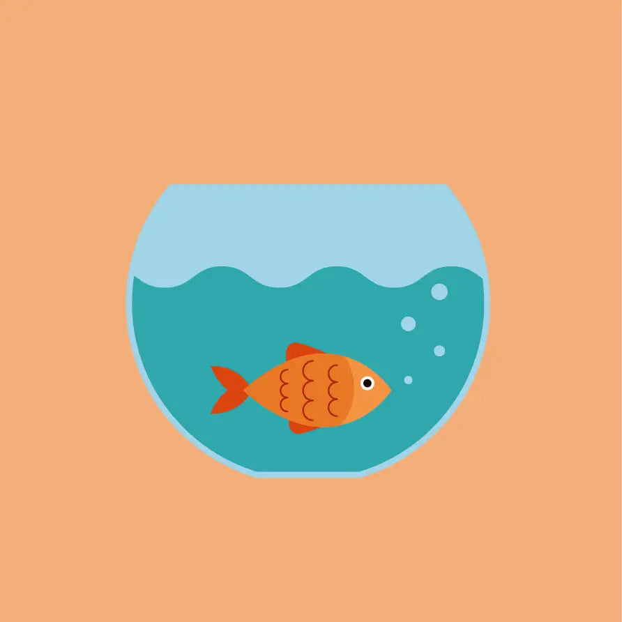Paint by Numbers Kit | Gertie Goldfish
